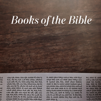 Logo for Spring Bible Study