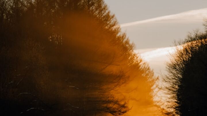 Logo for The Honest Hour