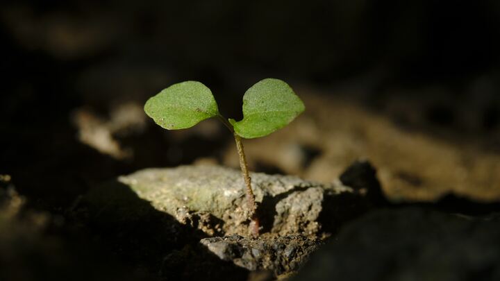 Logo for Lansdale - Smicker | Home Connect Group