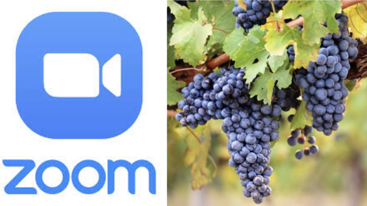 Logo for Maturing to Fruitfulness Online Bible Study-Wednesdays