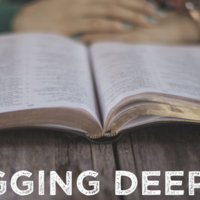 Logo for Digging Deeper