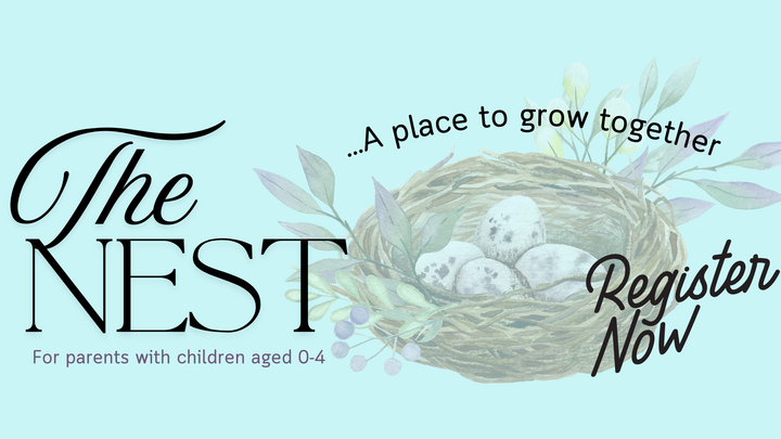 Logo for The Nest