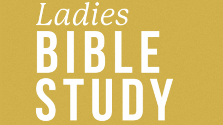 Logo for Ladies Bible Study