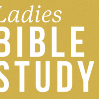 Logo for Ladies Bible Study