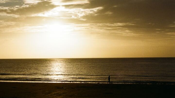 Logo for Women's Veteran Group | Carist Washington