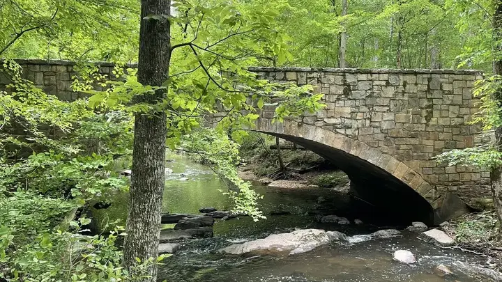 Logo for Cary - North