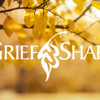 Logo for Afternoon Fall Griefshare