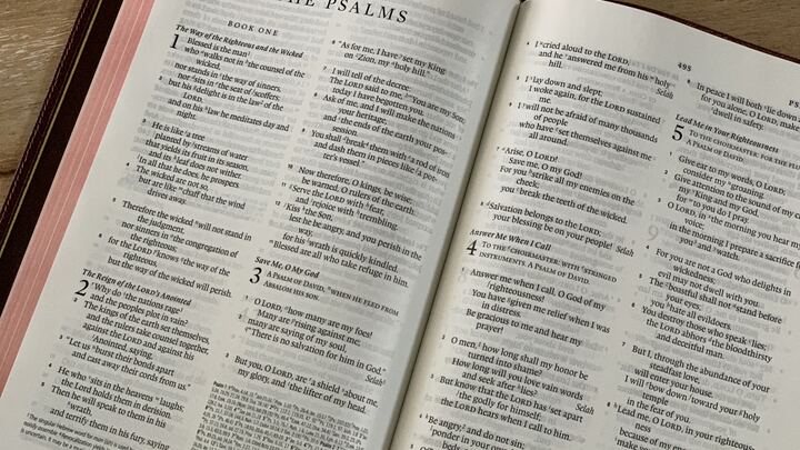 Logo for Pursuing God through the Psalms - Jason Wood