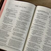 Logo for Pursuing God through the Psalms - Jason Wood