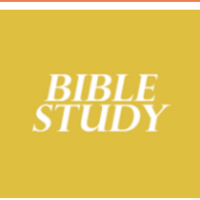 Logo for Easton/ Love in Chaos/ Amy Clancey