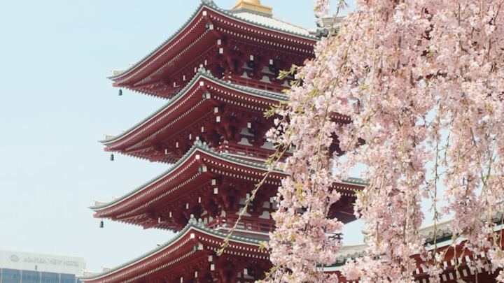 Logo for Japan Trip 2026 Interest Group