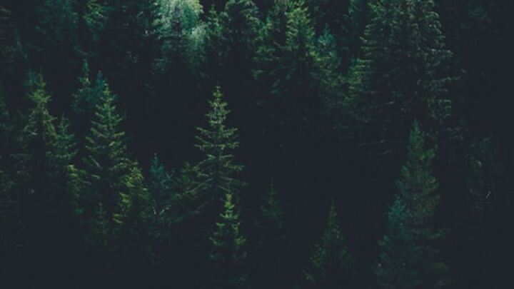 Logo for General (Announcements)