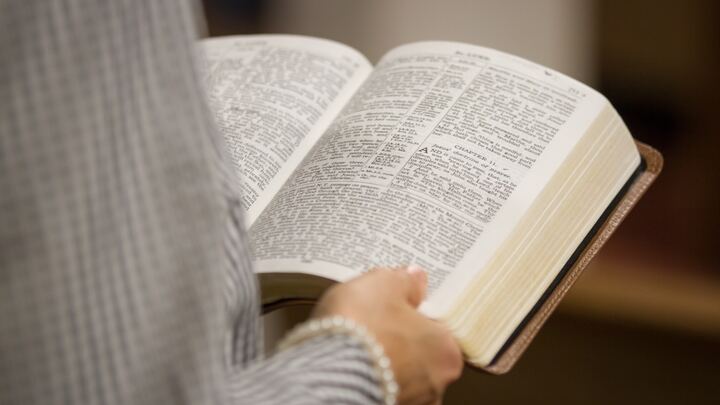 Logo for TR - Flores Sub Group