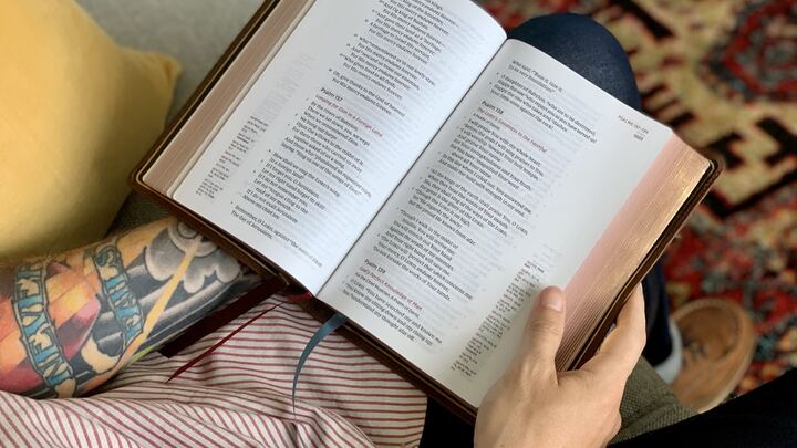 Logo for TR - Shanks Sub Group