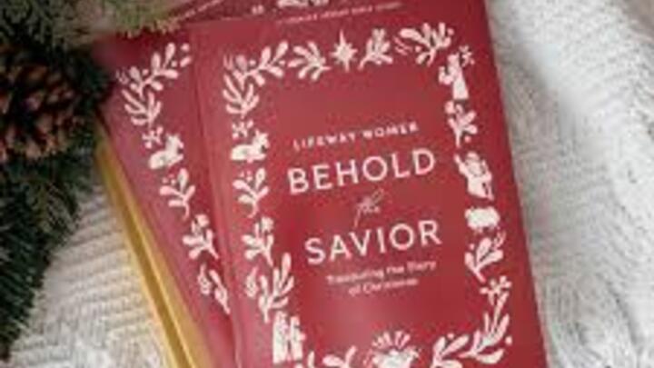 Logo for Behold the Savior