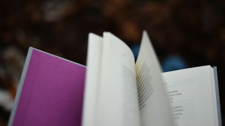 Logo for Bible Basics - The Purple Book