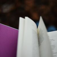 Logo for Bible Basics - The Purple Book