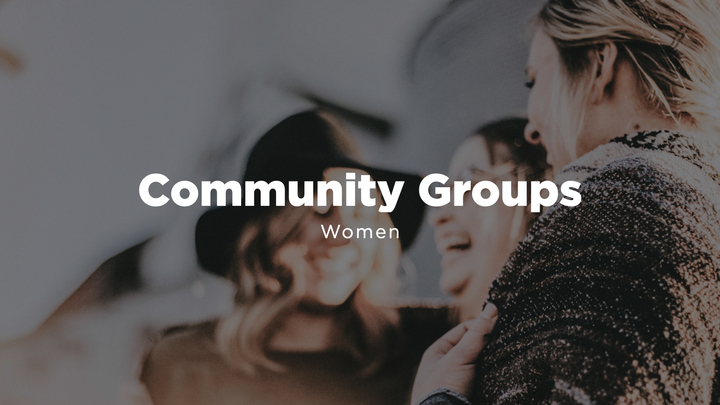 Logo for *New Group | Nicole Sibol