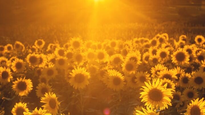 Logo for Pete and Deb Smeltz LIFE GROUP | 2025-2026