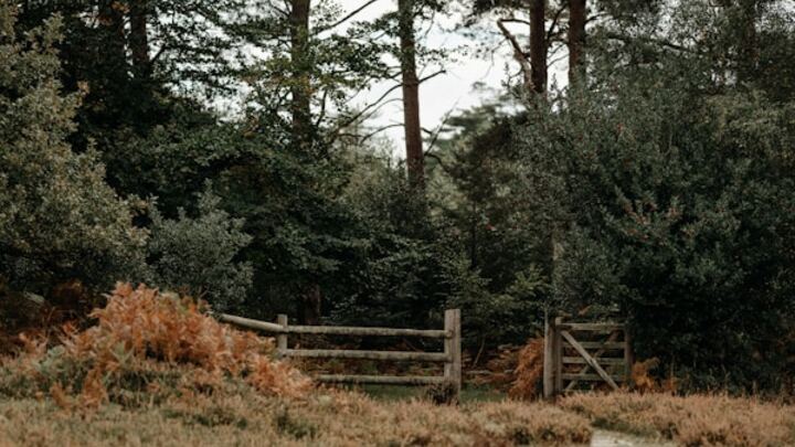 Logo for The Woolrich LIFE GROUP | 2025-2026