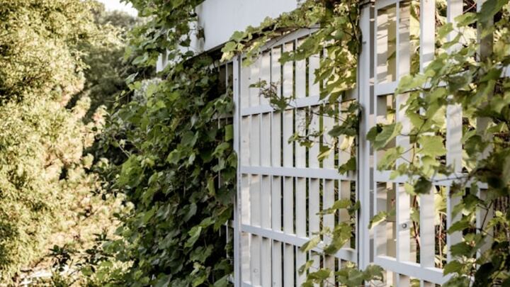 Logo for Emotionally Healthy Spirituality Spring 2026 (Online + In-Person)