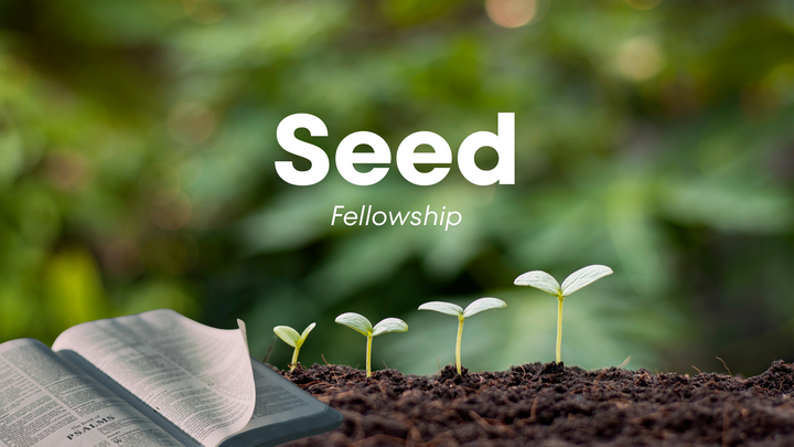 Logo for Seed Fellowship