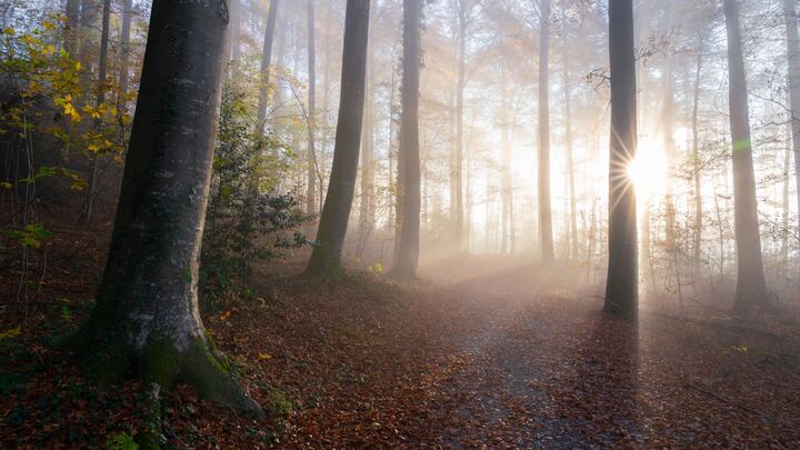 Logo for BEMA Small Group