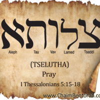 Logo for Aramaic Study of the Lord's Prayer