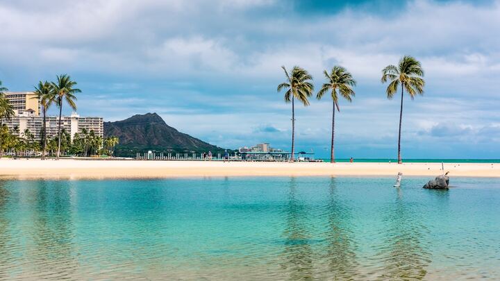 Logo for Oahu District 20