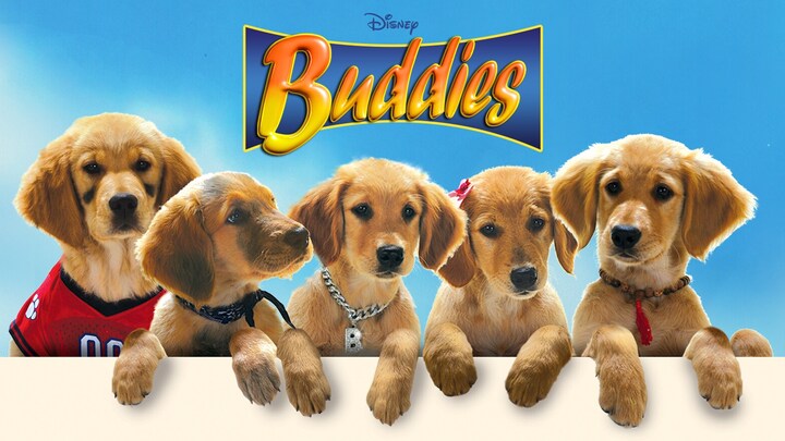 Logo for Buckies Buddies