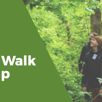 Logo for Tree Walk Group