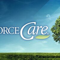 Logo for DivorceCare Spring 2026