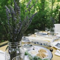 Logo for Passover Seder