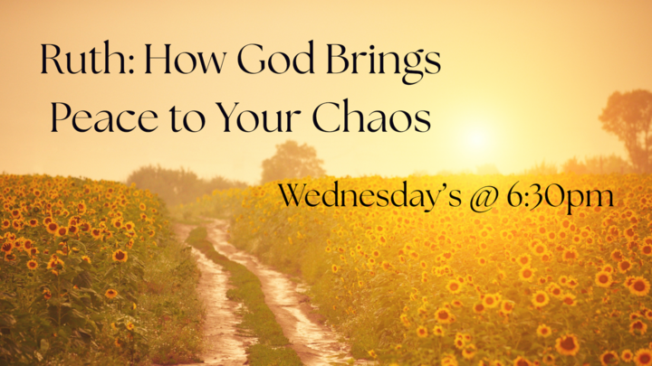 Logo for Ruth: How God Brings Peace to Your Chaos