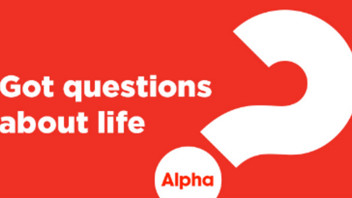 Logo for Alpha - Winter 2026 - Pines