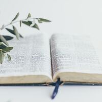 Logo for CRB Bible Reading Plan