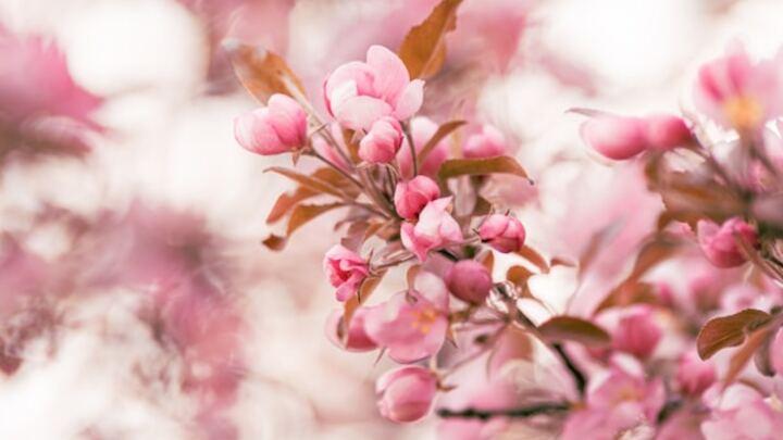 Logo for Mujeres | Casados y Solteros | 18+ | ¡Refréscate en la presencia de Dios! | Trujillo