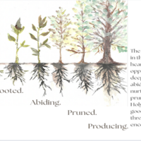 Logo for Good Fruit Takes Time