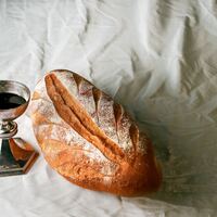 Logo for Hospitality Team