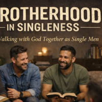 Logo for Brotherhood in Singleness