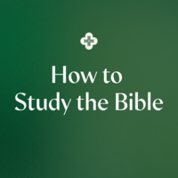 Logo for How to Study the Bible