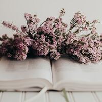 Logo for Women's Ministry