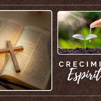 Logo for Discipulado Crecimiento Espiritual