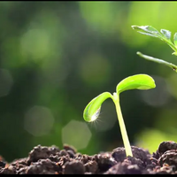 Logo for EM Foundations