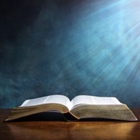 Logo for Abel Men's Group