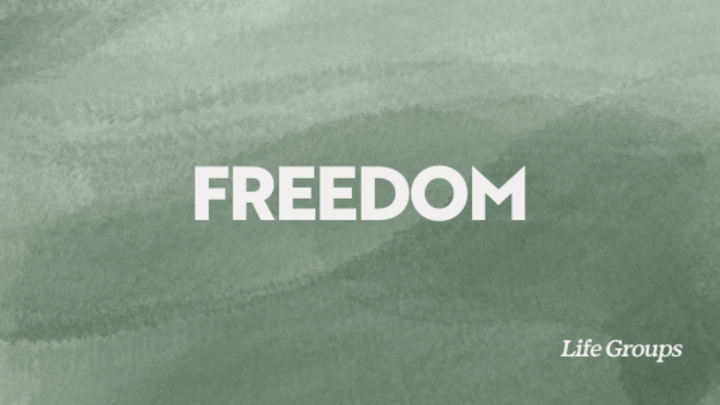 Logo for Freedom
