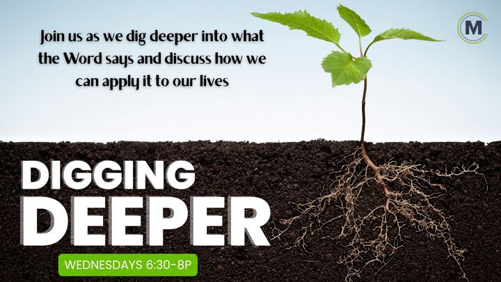 Logo for Digging Deeper