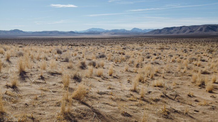 Logo for Sidetracked