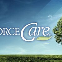 Logo for DivorceCare | Online