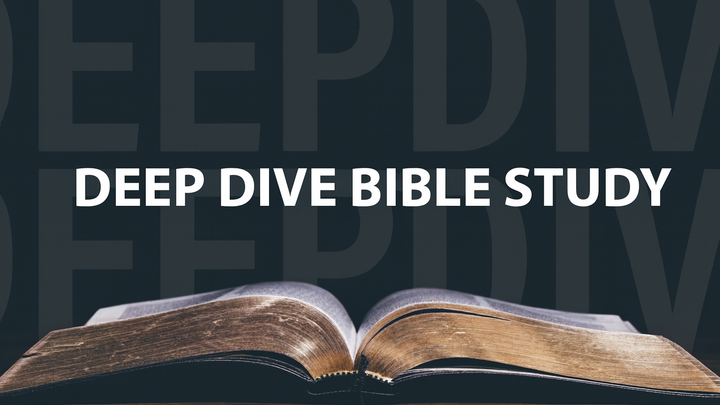 Logo for Deep Dive Bible Study